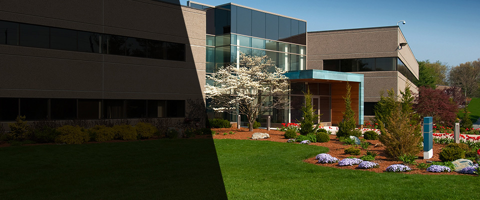 Rio Vista Landscapers