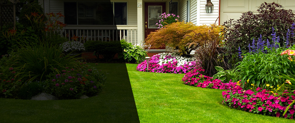 Rio Vista Landscapers