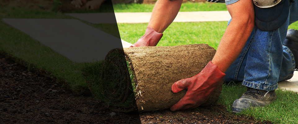 Rio Vista Landscapers